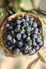 脆甜的花香蓝莓   高甜爆汁 自带花香 果肉脆甜  顺丰空运 商品缩略图0