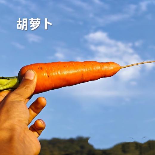 有机混搭蔬菜包 商品图1