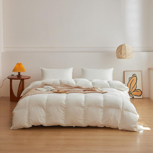 日式无印95白鹅绒被芯良品羽绒被秋冬保暖羽绒被子白色60全棉贡缎 商品图1