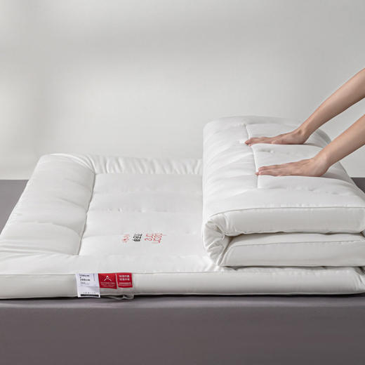 日式无印三防床垫良品防油防水防污加厚酒店秋冬柔软立体褥子软垫 商品图1