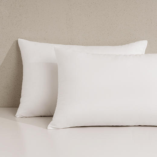 水星家纺丨DH思梦抗菌对枕 商品图2