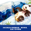【可点读】小牛顿科学馆：全新升级版（科学蓝20册礼品装） 5-12岁 儿童百科全书 抖音同款 网红科普书 商品缩略图4