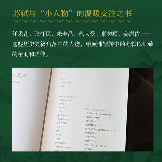 嘉德文库丨《如轼：苏东坡的后半生》刘墨新作 百余张书画作品 商品图2