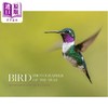 【中商原版】Bird Photographer of the Year 进口艺术 年度鸟类摄影师 商品缩略图0