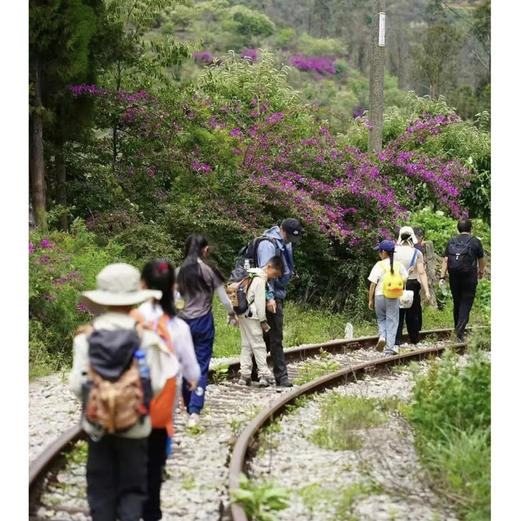 亲子徒步博物探索营次卡 | 每周一山，从春走到冬，与孩子做山野的朋友，解锁博物成长年卡！！ 商品图12