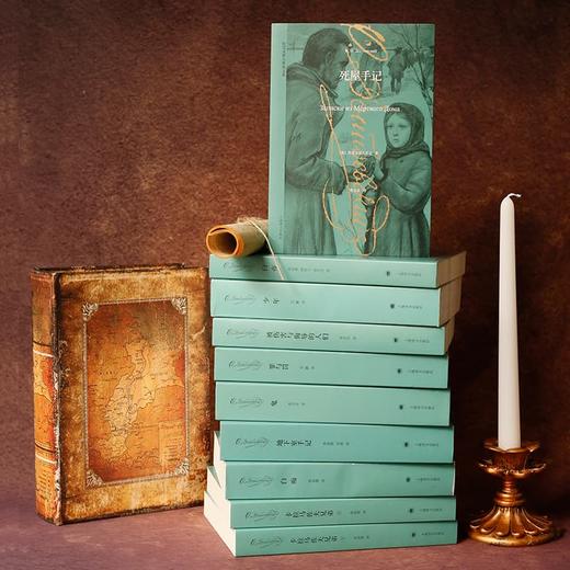 陀思妥耶夫斯基文集八种九卷（陀思妥耶夫斯基文集） 商品图4