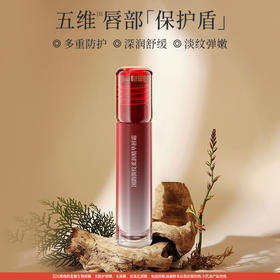 植物润泽唇膏 五重植物能量润泽唇部 拒绝秋冬唇部脱皮细纹  国韵润精华润唇膏4g*2支