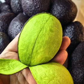 今日特价~~~牛油果成熟大果一个