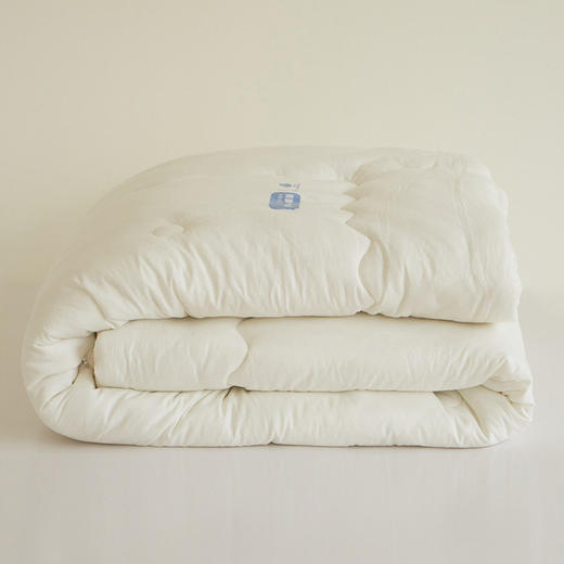 【特价】日系无印亲肤大豆被良品纯色冬被双人被芯秋冬加厚被子 商品图3