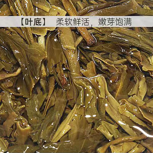 张一元毛峰茉莉花茶特级袋茶送密封夹送茶水分离杯 商品图4