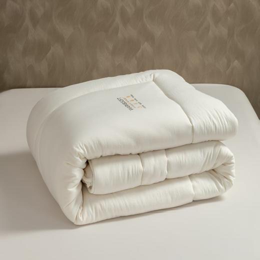 【堂皇】堂皇绵芙大豆春秋被-白色 商品图1