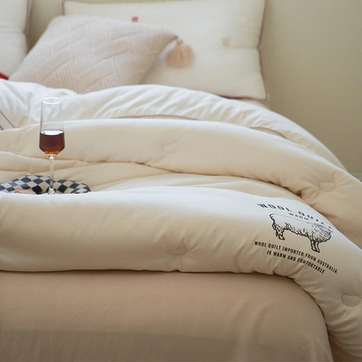 日式无印羊毛大豆冬季良品秋冬加厚保暖被芯立体纯色大豆羊毛被子 商品图2