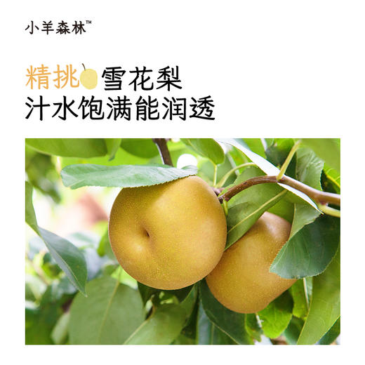 「梨膏棒棒糖」 低甜度  不腻口   80%真梨膏   清润可口 商品图2