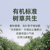 自营-新疆有机即食红枣260g 商品缩略图4