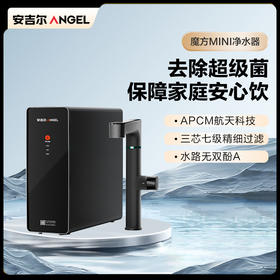 安吉尔魔方Mini Pro家用900G前置厨下直饮机