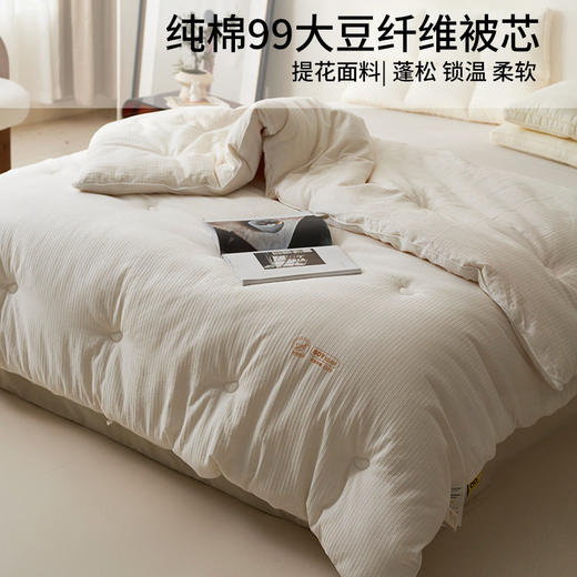 日式无印纯棉99大豆纤维被芯良品全棉被子冬被a类母婴柔软被秋冬 商品图0