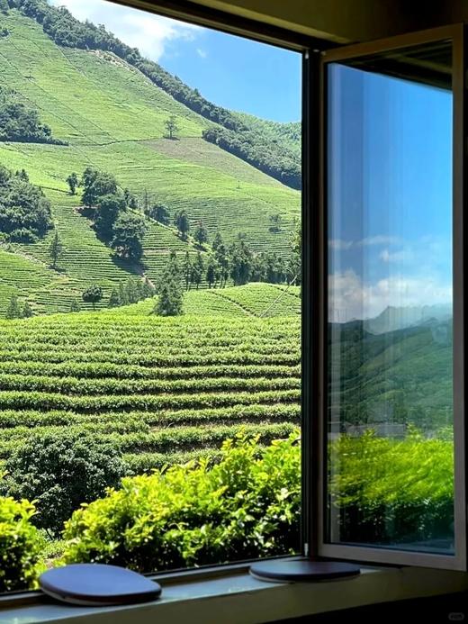 【复活节专线】山水治愈 | 清远深度漫游包车（古龙峡/英西峰林/T3茶园） 商品图3