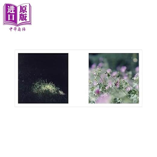 预售 【中商原版】亲签版 川内伦子摄影集 现在这里 谷川俊太郎作诗 日文原版日韩 いまここ サイン本 商品图1