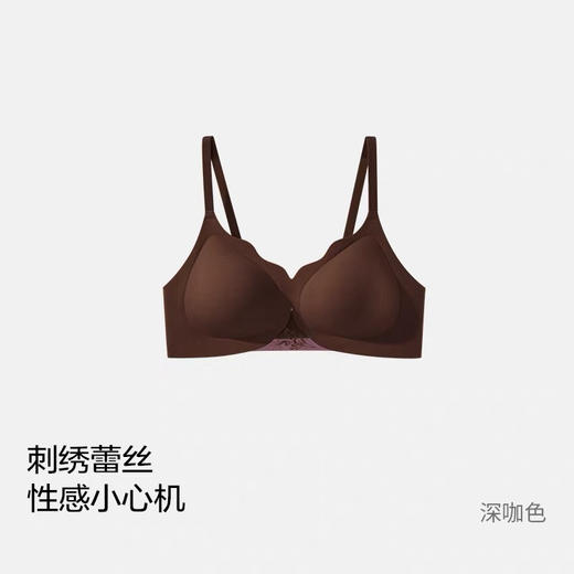 出口原单雷丝重工刺绣美背内衣 商品图12