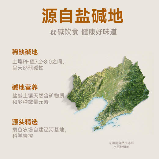 隆平农场稻米油5L食用油谷维多稻谷油家用烹饪米糠油桶装油 商品图3