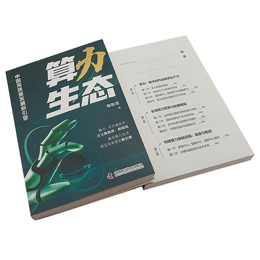 算力生态：中国高质量发展新引擎 商品图4