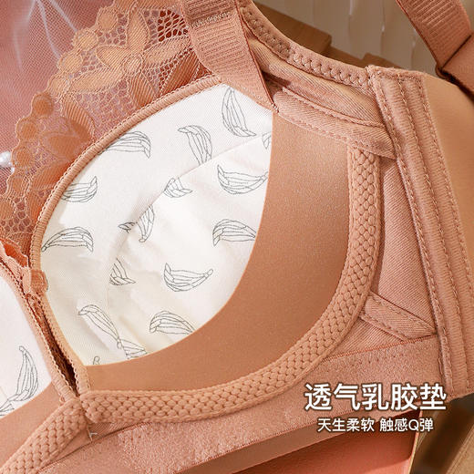 女式性感蕾丝承托定型聚拢文胸 商品图2