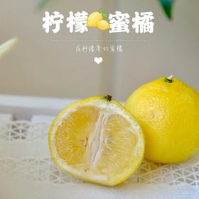 【仰姐自购 柠檬蜜橘】瑶乡甄选·树上熟柠檬蜜橘 5斤装 雪峰山生态种植 自然成熟采摘 柠檬清香+橘子甘甜 果肉饱满 甜蜜多汁