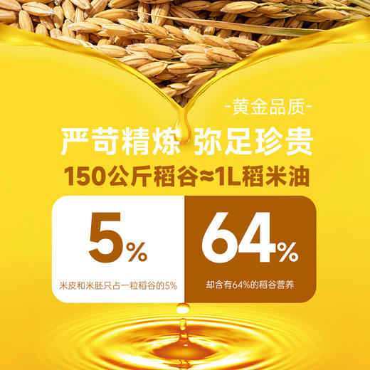 隆平农场稻米油5L食用油谷维多稻谷油家用烹饪米糠油桶装油 商品图2