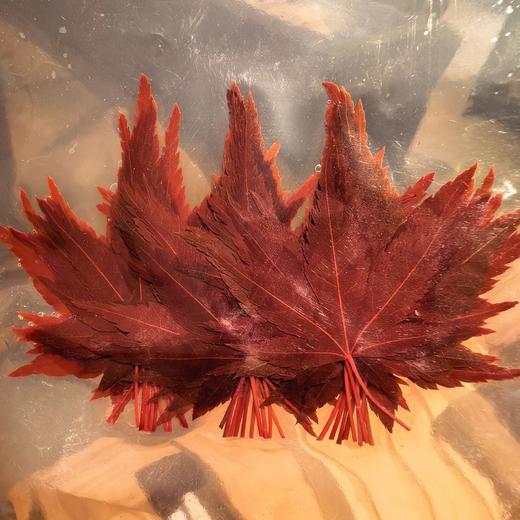 红枫叶（一盒） 商品图0