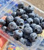 云南花香22+大蓝莓 商品缩略图1