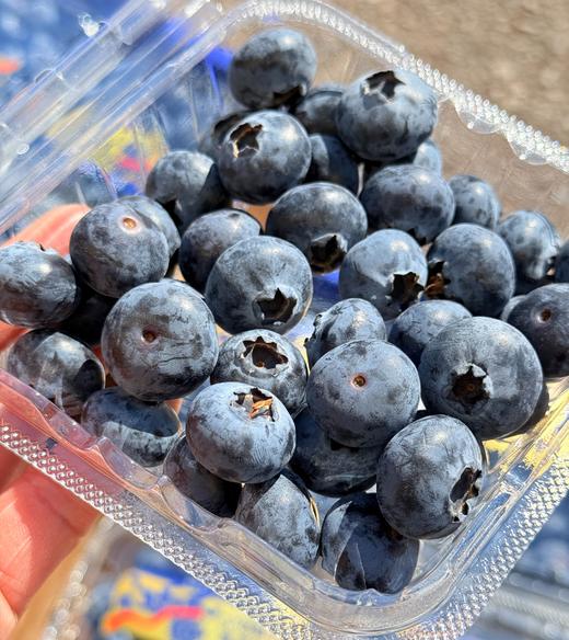 云南花香22+大蓝莓 商品图1