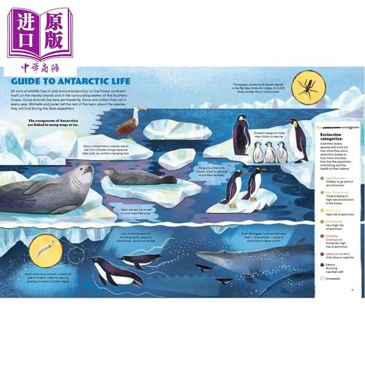【中商原版】野外科学家 南极洲 Scientists in The Wild Antarctic 英文原版 儿童科普绘本 科学读物 自然百科知识图书 进口 商品图2