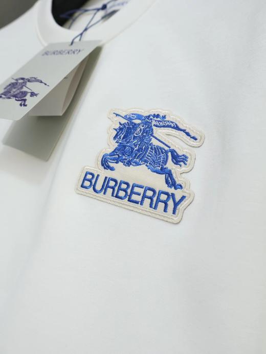 F0306126早春植绒刺绣工艺水柔棉工艺情侣款圆领套头卫衣 商品图10