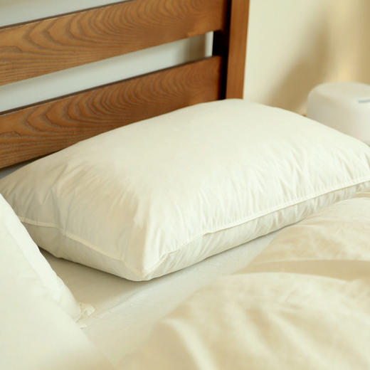 日式无印单人羽毛枕良品水鸟毛枕芯酒店宾馆羽毛枕头纯棉厂家代发 商品图1