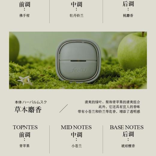 艾饰庭车用除臭芳香剂草本麝香 商品图0