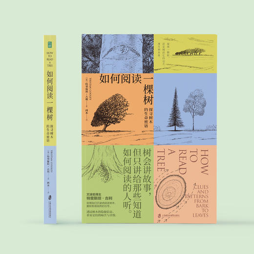 《如何阅读一棵树：探寻树木的生命密语》 商品图1