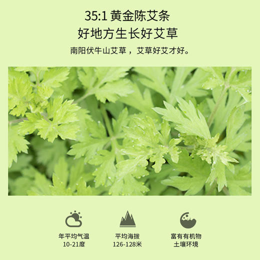 正安 黄金艾条(35:1)增强版 南阳伏牛山灸而不燥不掉灰 艾草艾叶纸艾条阳气 阳虚久吹空调着凉小朋友体弱者 悬艾灸专业艾灸温敷用品 黄金艾条增强版*6根/盒 商品图2