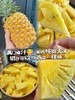 现货凤梨一箱（3个）
6斤左右 商品缩略图1