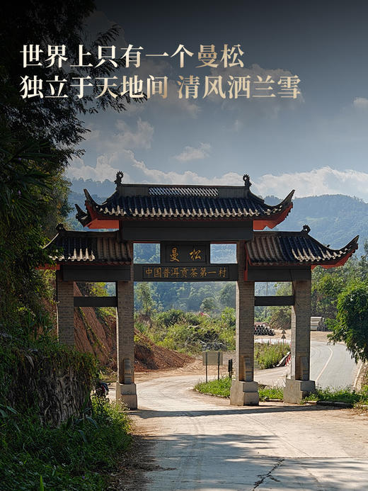 3月10日中午12点【曼松单株】2026年春茶预售持续加码重磅升级为单株，更低的价格囤鼎尖产品，让美好成为必然，357克/饼 商品图10