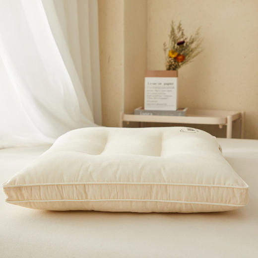 日式无印A类原棉枕头良品全棉儿童枕成人枕芯学生宿舍助睡眠护颈 商品图2