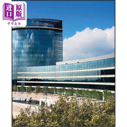 【中商原版】Hillier：Selected Works 进口艺术 希利尔：精选作品 商品图3