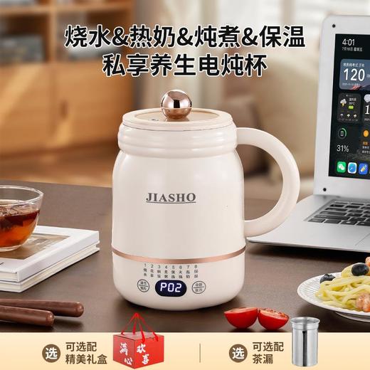 多功能全自动电炖杯办公室小型烧水杯炖煮便携式烧水壶迷你养生壶 商品图1