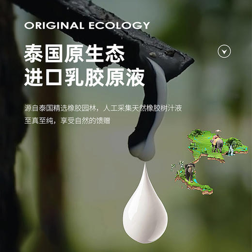 泰国乳胶B型枕-2 商品图1