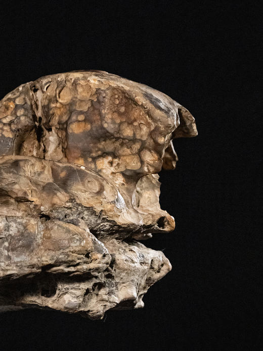 清	太湖石文房赏石（红木座） 商品图2