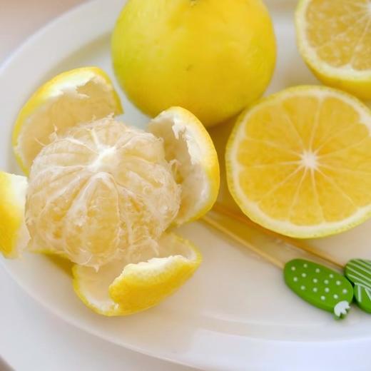 【仰姐自购 柠檬蜜橘】瑶乡甄选·树上熟柠檬蜜橘 5斤装 雪峰山生态种植 自然成熟采摘 柠檬清香+橘子甘甜 果肉饱满 甜蜜多汁 商品图4