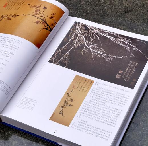 【1.3折】《中国名花》，布面精装，16开，铜版彩印，锁线装，张启翔著，323页，云南人民出版社1999年版，定价520，售价68元。品相95成。 商品图9