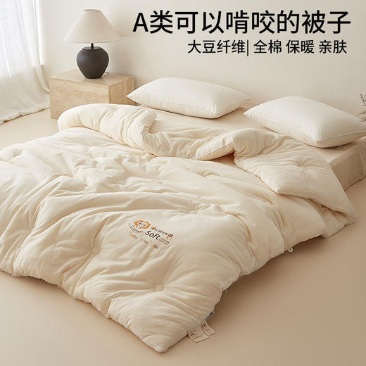 日式无印秋冬被良品春秋被全棉蓬松A类保暖柔软棉小芙大豆被民宿 商品图1
