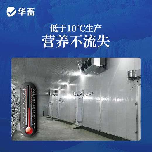 华畜超浓缩vc应激灵鱼虾蟹抗应激水产用保苗助长维生素多维应激宝 商品图3