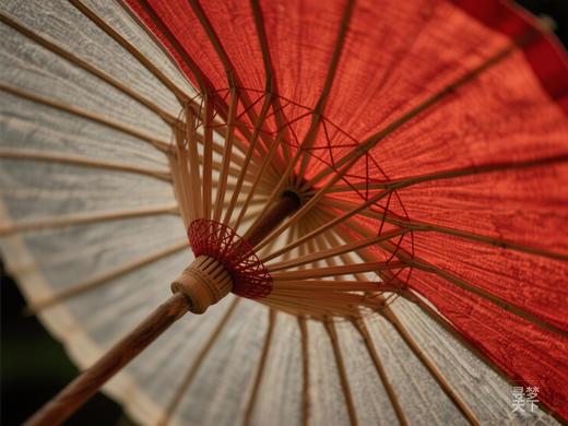 江淮春摄·花海秘境 7天团：安徽芜湖响水涧油菜花、安庆天峡杜鹃花、泾县油纸伞、桃花潭、查济古村、家朋梯田、马鞍山桃花 商品图5