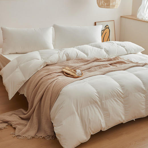 日式无印95白鹅绒被芯良品羽绒被秋冬保暖羽绒被子白色60全棉贡缎 商品图2